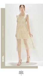 New Heavy Industry Embroidery Lace Lapel Waist Mesh Dress