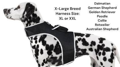 GSM GPS Animal Tracker Collar Attached Rechargeable Realtime Surveillance Gadget Size:XXL