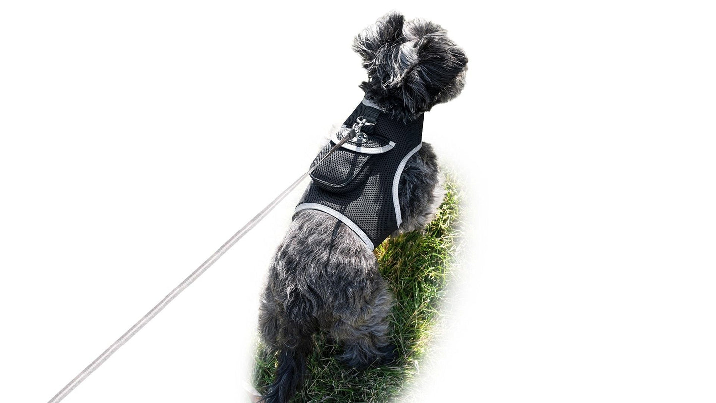 Waterproof Mini Pet Location Finder w/ Pet GPS Tracking Cell Phone App Size:M