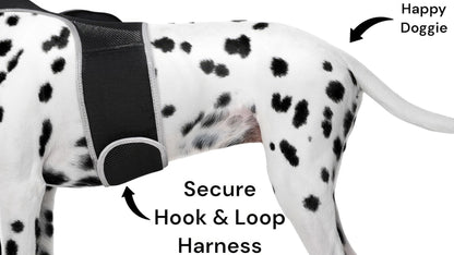 Easy Setup Waterproof Mini GPS Realtime Pet GSM GPRS Tracking Device Size:L