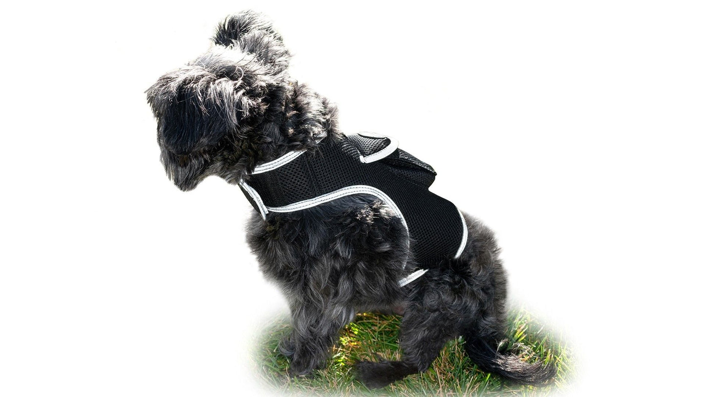 Easy Setup Waterproof Mini GPS Realtime Pet GSM GPRS Tracking Device Size:L