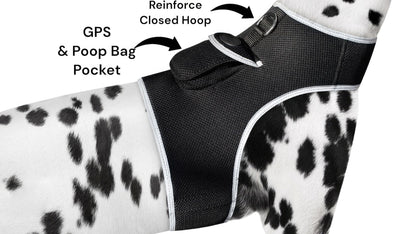 Collar Mounted Realtime Pet Locator GPS Portable Rechargeable Tracker Size:L