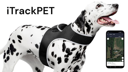 Collar Rechargeable Portable GPS Tracking Devices for Pets GSM Locator Size:XS