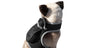 Collar Rechargeable Portable GPS Tracking Devices for Pets GSM Locator Size:S