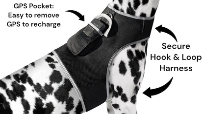 GPS Rechargeable Tracking Device for Pets Realtime Surveillance System Size:XXL