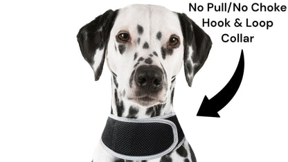 Waterproof Mini Pet Location Finder w/ Pet GPS Tracking Cell Phone App Size:M