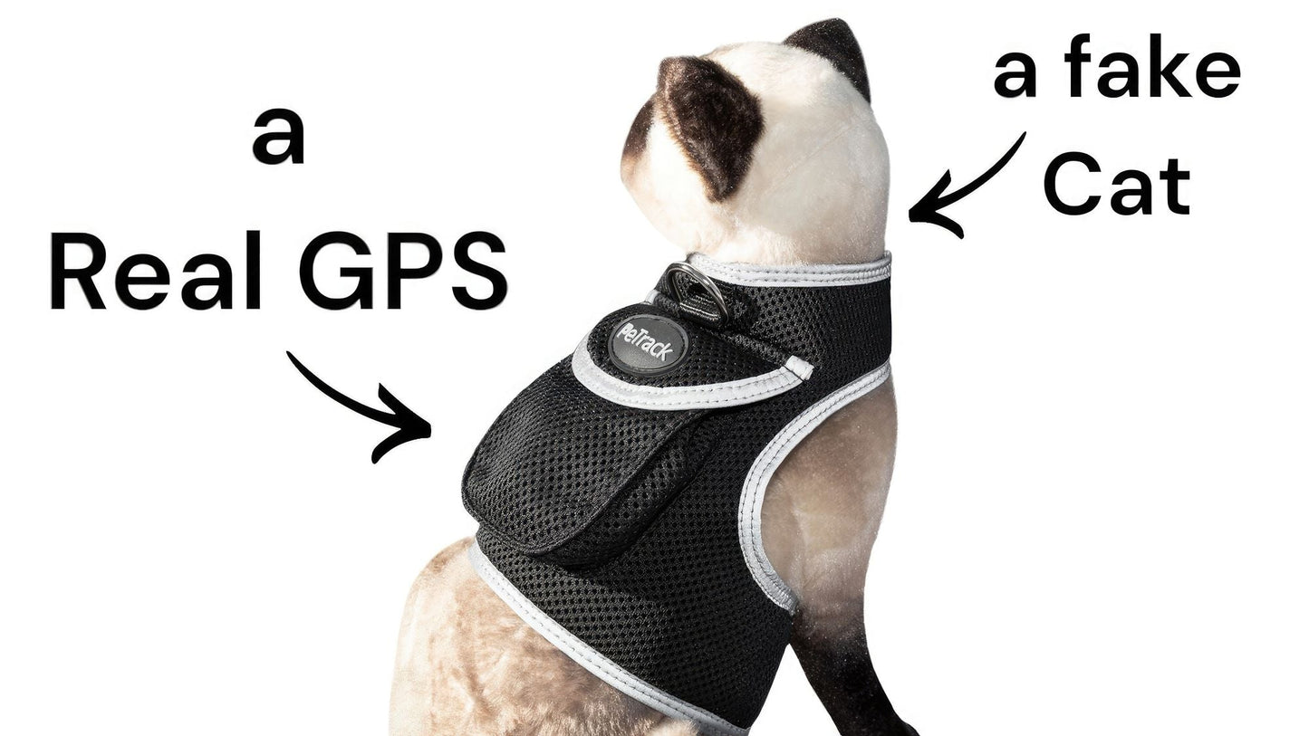 Waterproof Collar Mount Tracker Realtime GPS GSM Puppy Tracking Device Size:L