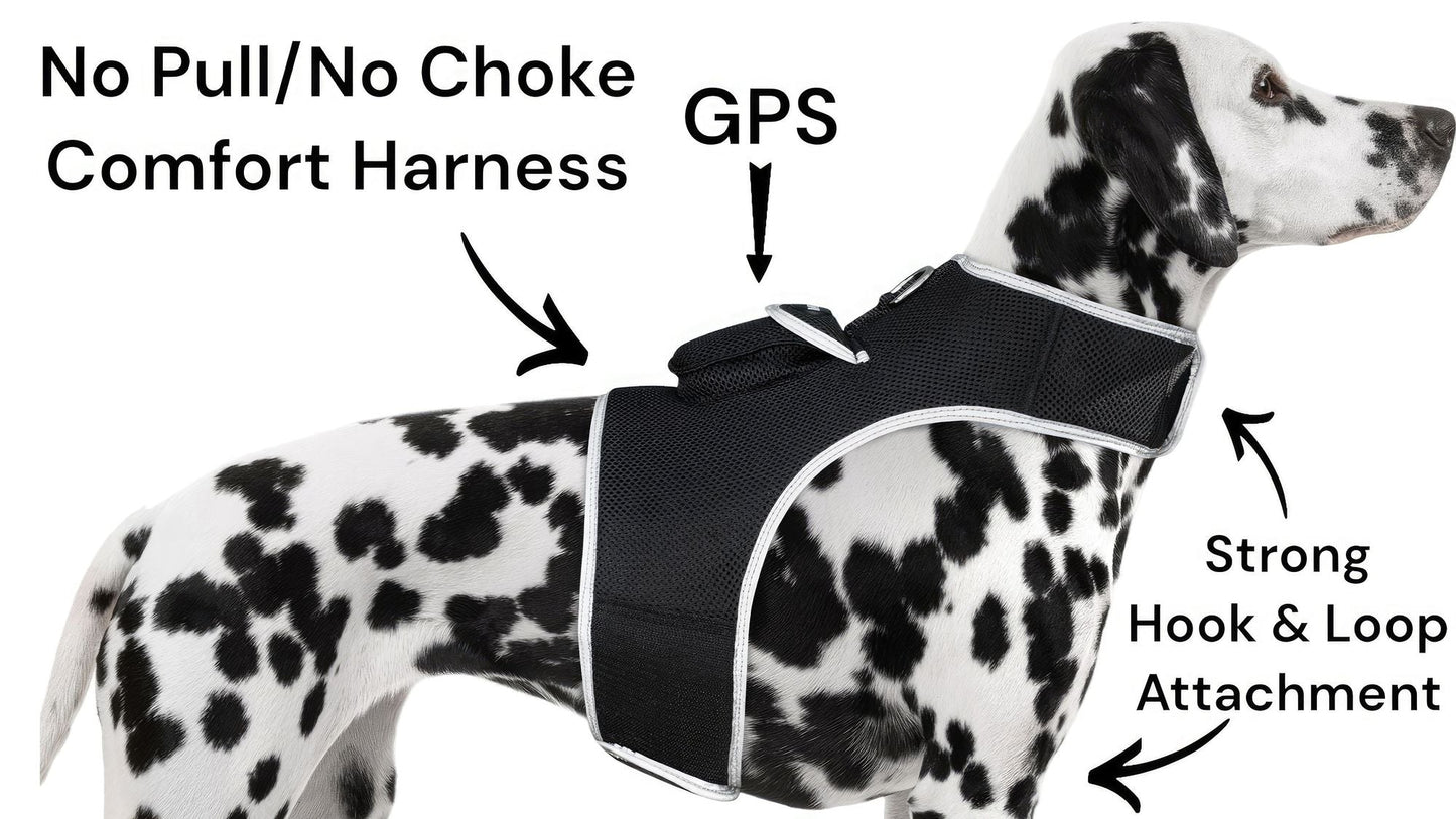 Easy Setup Waterproof Mini GPS Realtime Pet GSM GPRS Tracking Device Size:L