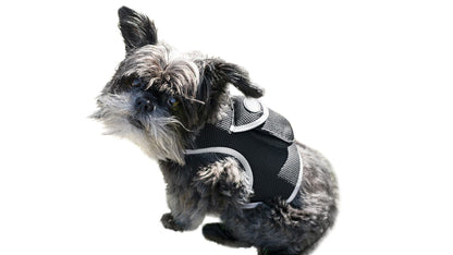 Waterproof Mini Pet Location Finder w/ Pet GPS Tracking Cell Phone App Size:M
