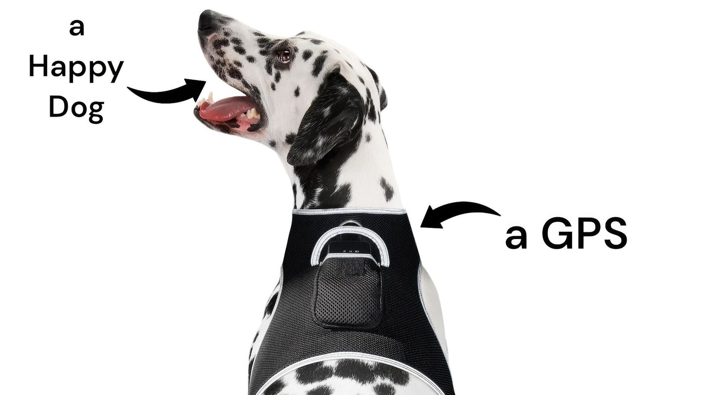 GSM GPS Animal Tracker Collar Attached Rechargeable Realtime Surveillance Gadget Size:XXL