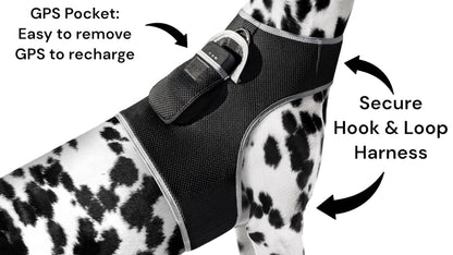 Waterproof GPS Tracker Dog Cat Rechargeable Locator with Battery Alert Size:L
