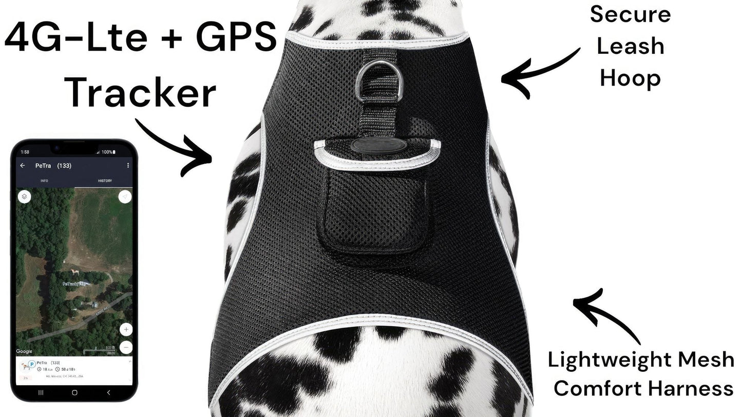 Waterproof Collar Mount Tracker Realtime GPS GSM Puppy Tracking Device Size:L