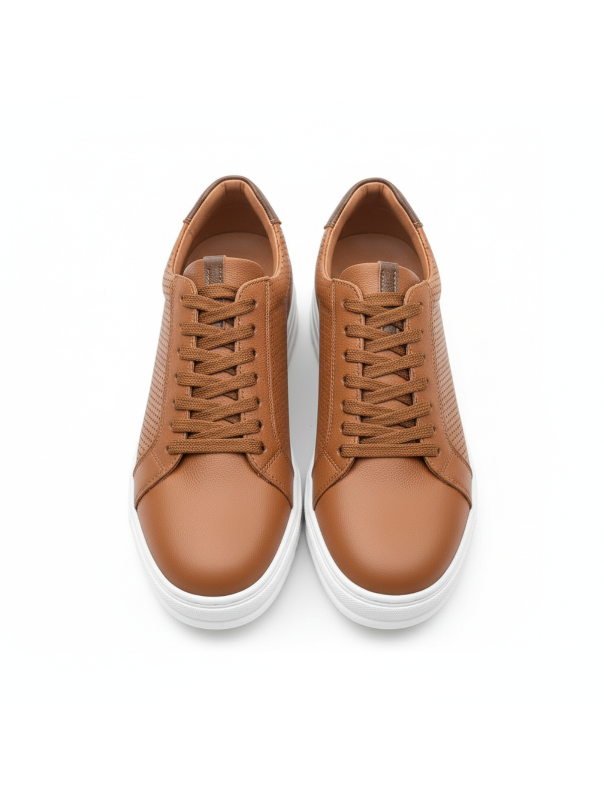 Men's Arion Terra